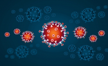 TUN – Das Immunsystem kurz und bündig